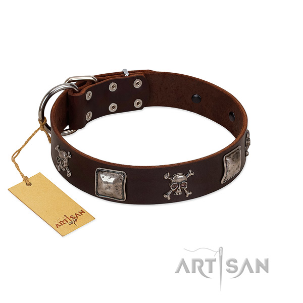 Studded dog collar handmade for your beautiful doggie