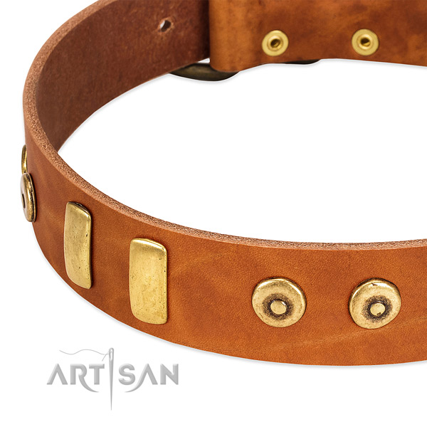 Top notch full grain leather collar with stunning embellishments for your dog