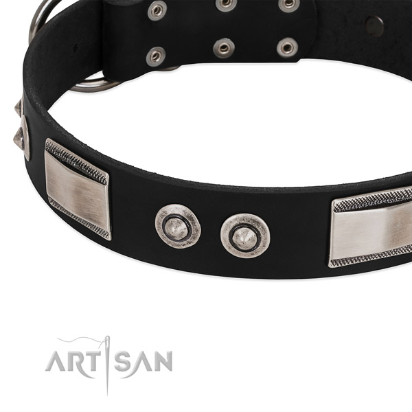 Exceptional genuine leather collar for your dog
