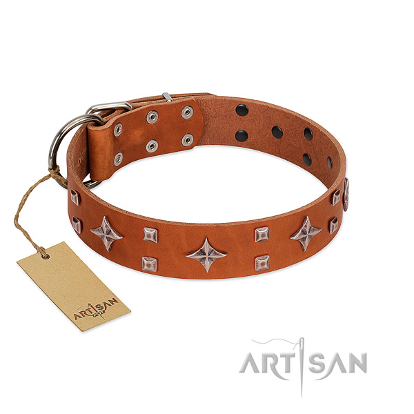 Incredible genuine leather collar for your canine everyday walking