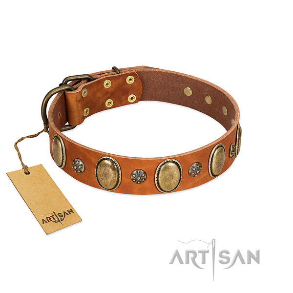 Daily walking reliable leather dog collar with adornments