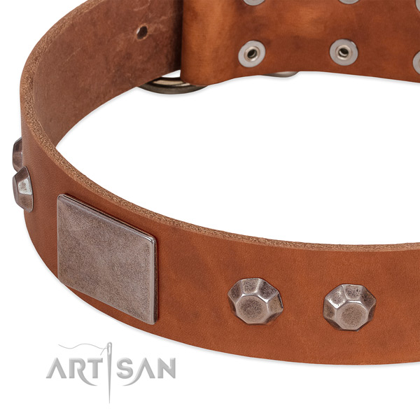 Daily use soft to touch full grain natural leather dog collar