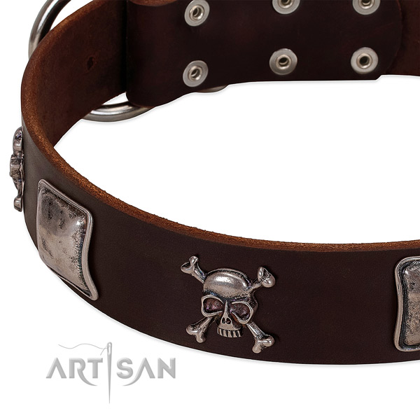 Corrosion proof buckle on full grain leather dog collar