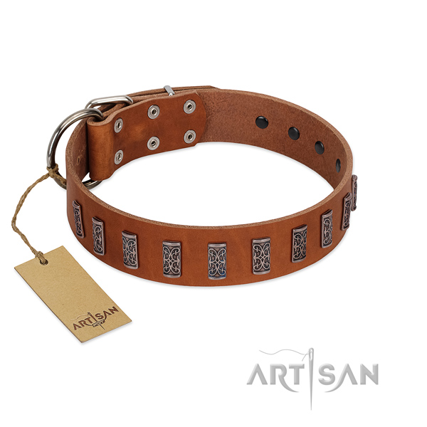 Strong leather dog collar with strong hardware