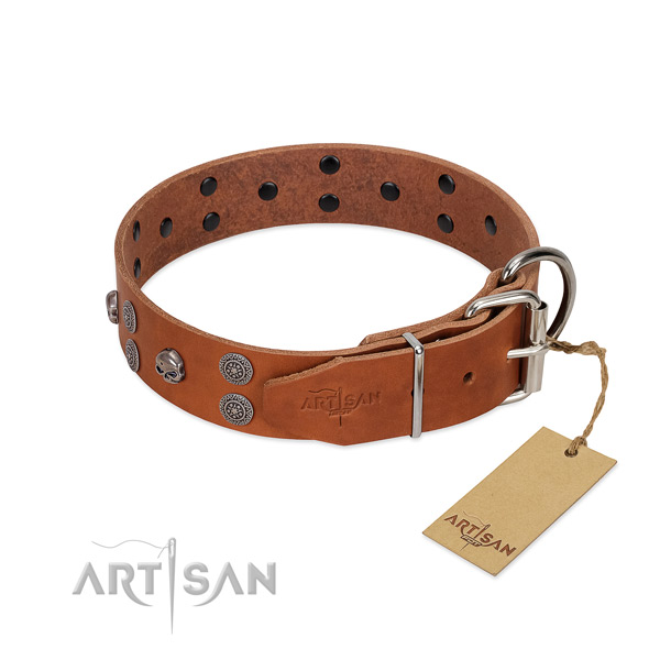 Best quality leather dog collar with studs for fancy walking