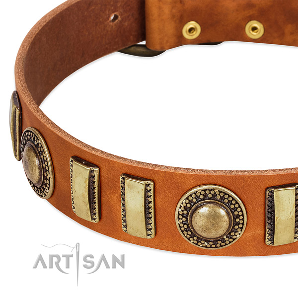 Best quality leather dog collar with reliable hardware