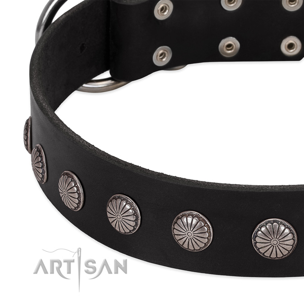 Best quality full grain leather dog collar with studs for comfy wearing