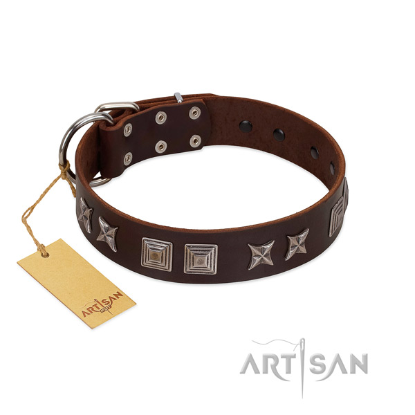 Natural leather dog collar with awesome decorations handcrafted dog