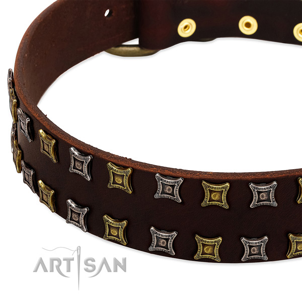 Best quality full grain natural leather dog collar for your handsome pet