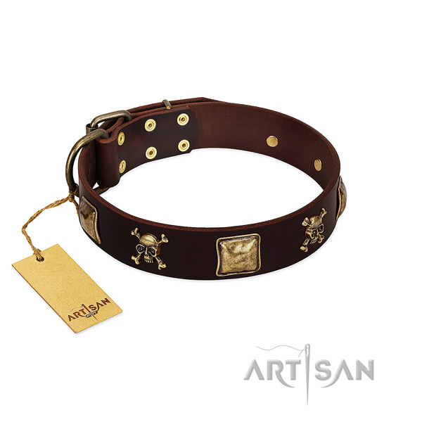 Soft to touch leather dog collar with remarkable adornments