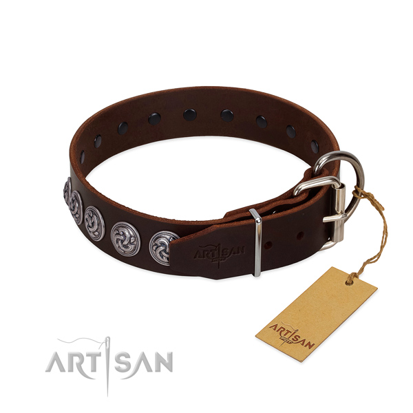 Corrosion proof traditional buckle on incredible leather dog collar