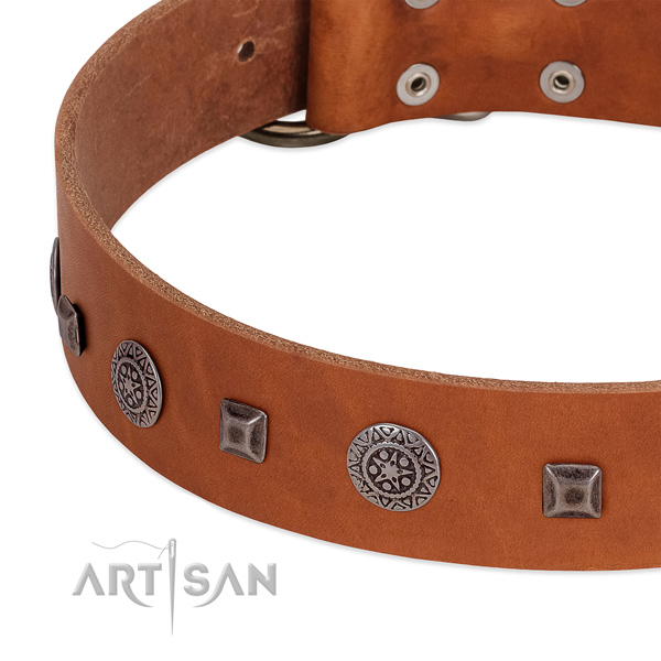 Unusual dog collar of full grain genuine leather with adornments