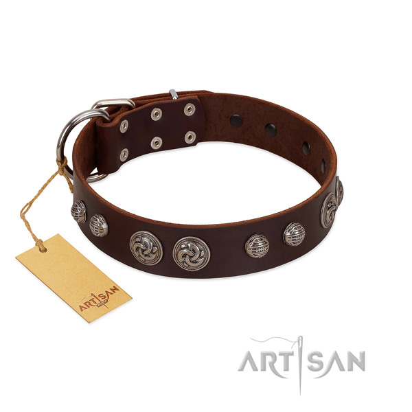 Rust-proof embellishments on full grain leather dog collar for your canine