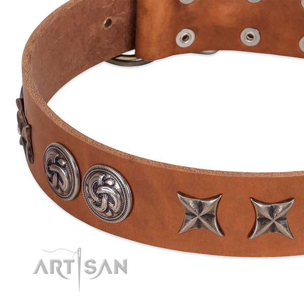 Full grain genuine leather collar with incredible embellishments for your four-legged friend