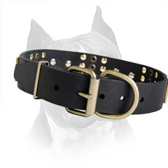 Designer Pet Collar With Spikes, Studs And Plates