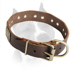 Available In 3 Colors Amstaff Dog Collar