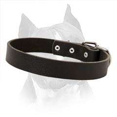 Strong Leather Dog Collar With D-Ring For Leash  Attachment