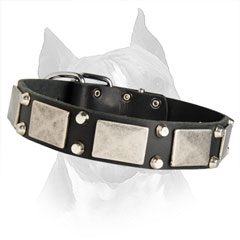 Amstaff Dog Collar With Nickel Plated And Pyramids