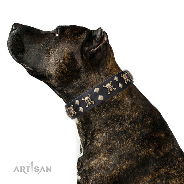 Easy wearing embellished dog collar of finest quality genuine leather