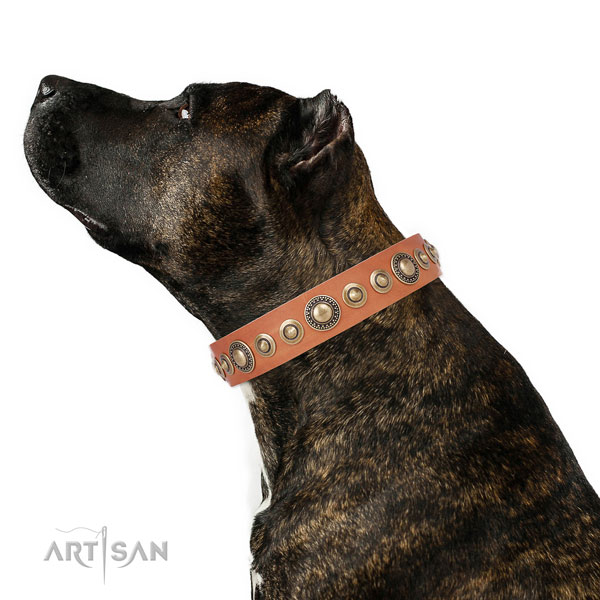 Durable buckle and D-ring on full grain leather dog collar for everyday walking