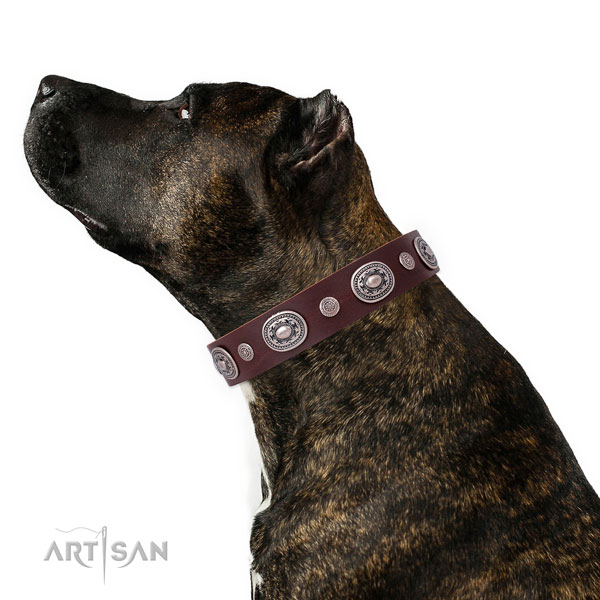 Strong buckle and D-ring on leather dog collar for daily walking