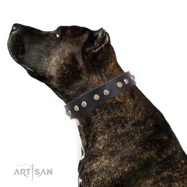 Full grain leather dog collar with rust-proof buckle and D-ring for daily walking