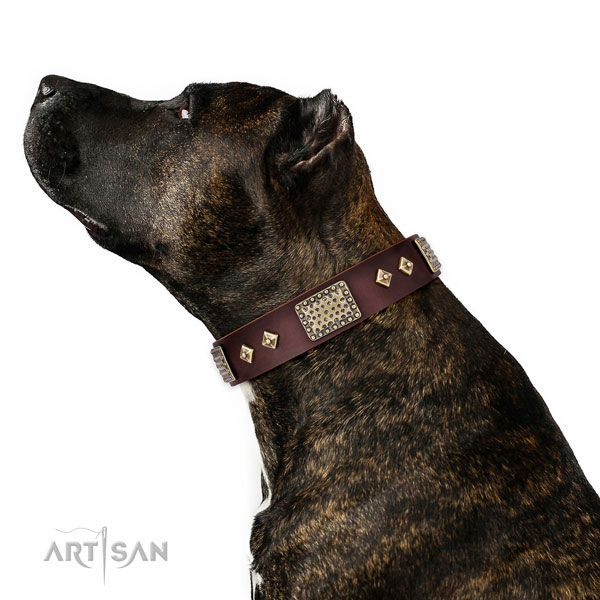 Durable basic training dog collar of leather