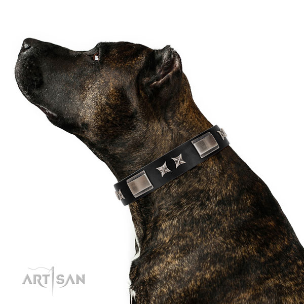 Comfy wearing soft natural leather dog collar with decorations