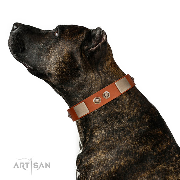 Strong D-ring on natural genuine leather dog collar for everyday walking
