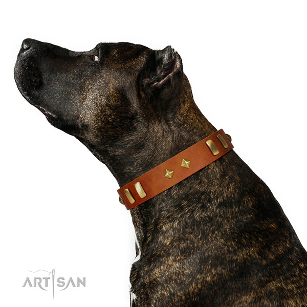 Daily walking gentle to touch full grain genuine leather dog collar with embellishments