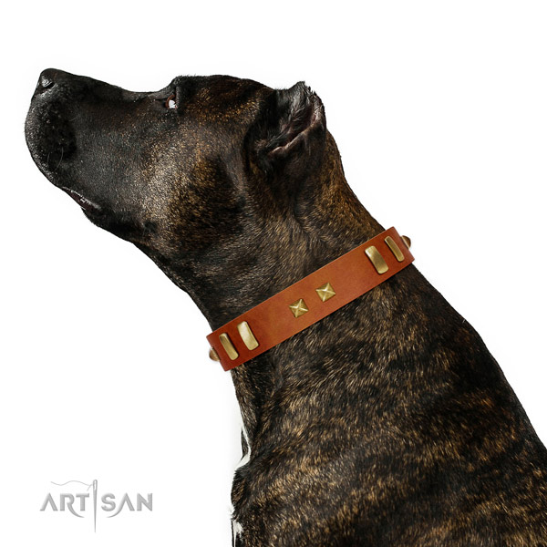 Unusual embellished full grain genuine leather dog collar of reliable material
