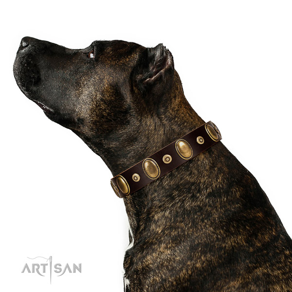 Designer decorated full grain genuine leather dog collar of flexible material