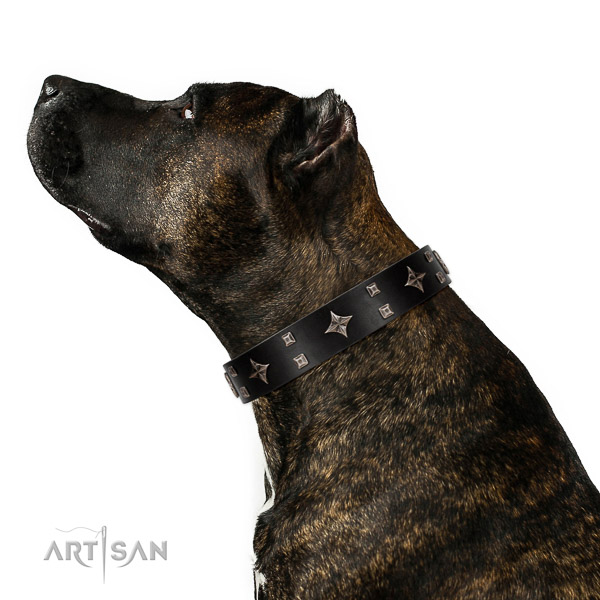 Leather dog collar of flexible material with unusual decorations