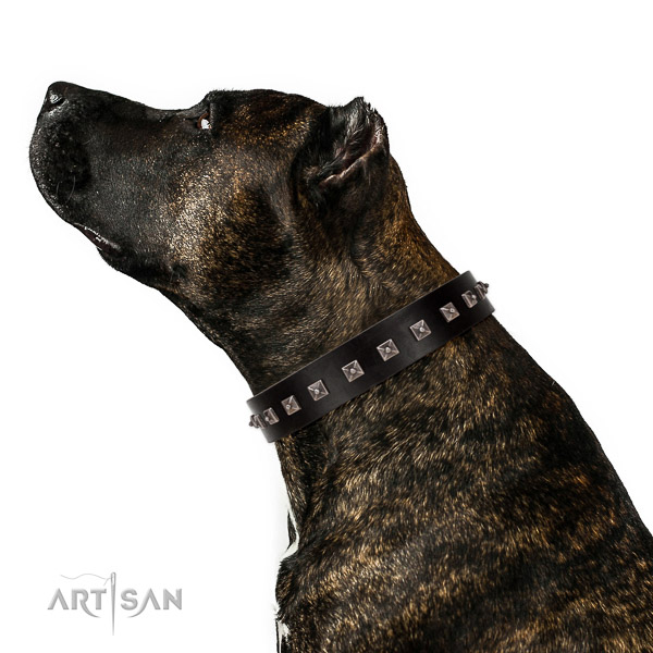 Stylish design decorated full grain natural leather dog collar