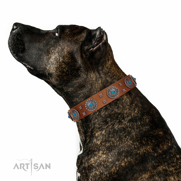 Comfortable wearing full grain natural leather dog collar with unique studs