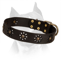 Amstaff Leather Collar with Flower Design