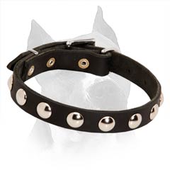 Amstaff Narrow Leather Collar for Obedience Training