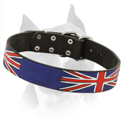 Walking Amstaff Leather Collar with Union Jack Painting
