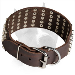Wide Leather Collar for Amstaff with Rust-proof Hardware