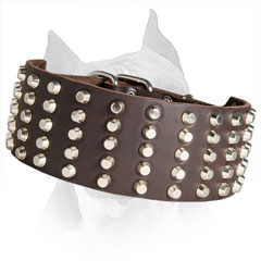 5 Row Studded Wide Amstaff Leather Collar