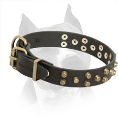 Leather Collar for Amstaff with Adjustable Buckle and D-ring