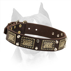Amstaff Leather Collar with Nickel Cones and Brass Plates