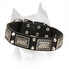 Amstaff Leather Collar with Massive Plates and Pyramids