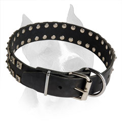 Leather Collar for Amstaff with Sturdy Buckle and D-ring
