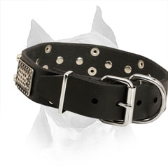Leather Collar for Amstaff with Silver-like Buckle and D-ring