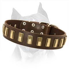 Amstaff Leather Collar with Durable Rust-resistant Plates