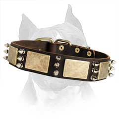 Wide Leather Dog Collar Is Perfect For Handling