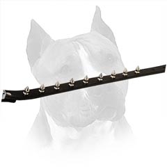 Exceptional Dog Collar Is Resistant To Tear And Rust