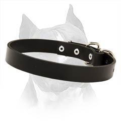 Leather Dog Collar With Durable Hardware