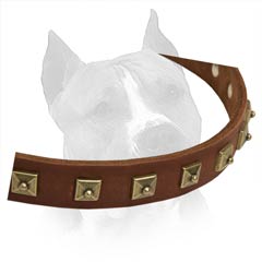 Soft Natural Leather Is Used For Creation Of This Dog  Collar
